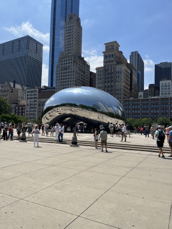 The bean millennial park Chicago