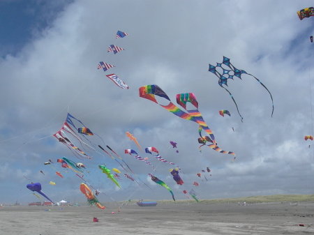 Long Beach WA Kite Festivel
