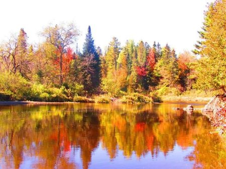 Lynette Obeck's album, Dazzling jeweled Autumn