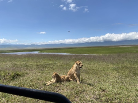 Safari Pic - Tanznia