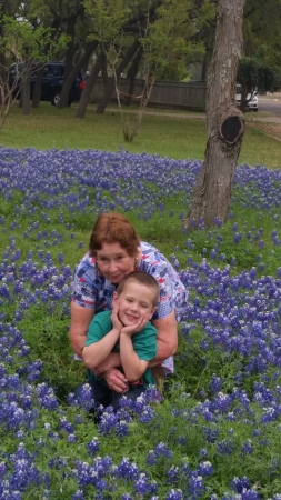 Bluebonnets April 2014