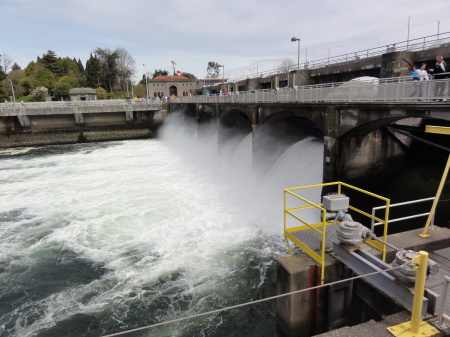 Ballard Locks - Seattle WA