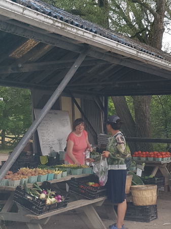 wife Shirley buying vegetables/farm stand