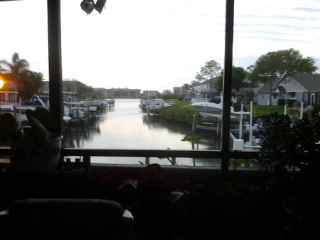 View from inside my Florida room.