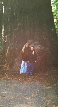 California Redwoods August 2002