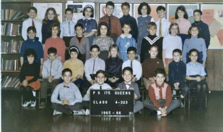 Elie Ribacoff's Classmates profile album