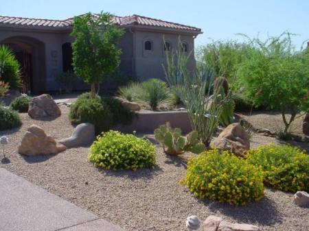 Front yard land scaping done!