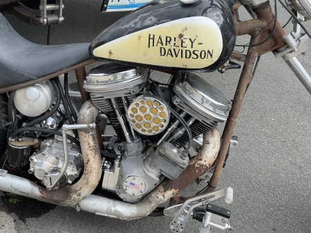 Harley “Rat Bike” 😬