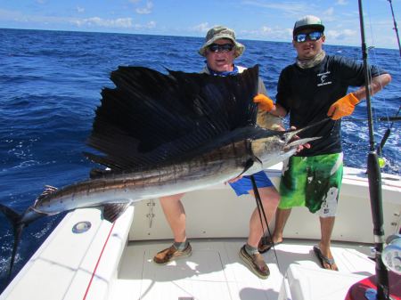 Costa Rican Sailfish