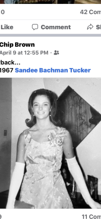 Sandee Bachman Tucker's Classmates profile album