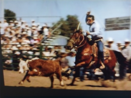  Salinas rodeo. Riding Star Dust when I was 30