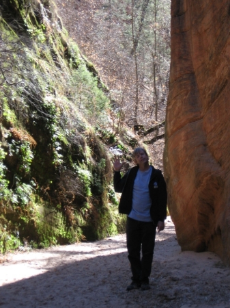 A day in Zion.