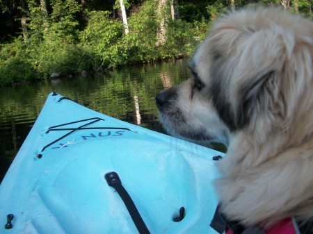 My Kayaking Buddy