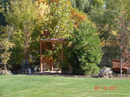 entrance to the fire pit 2011