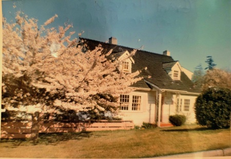 My old house at 4355 Jericho Circle