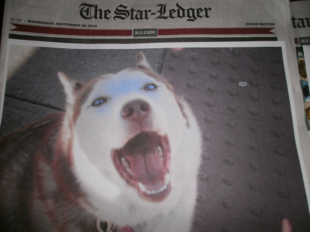 Our Penny Makes The Front Page Of The Star Ledger