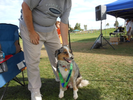 Pamela Wyman's album, Shadow- My amazing Frisbee Dog! 