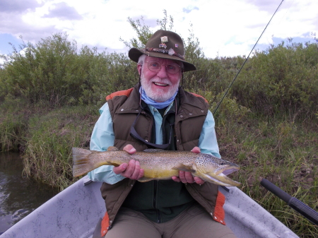 23 inch Brown, 4 July 2018, Green R, Wyoming