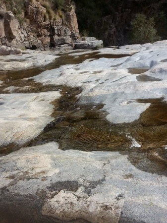 Calvin Lee's album, Sabino Canyon