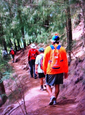 Hawaii Trail and Mountain Club Hiking Upper Mariner's Ridge