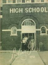 Laingsburg High School 1958 yearbook cover photo