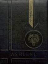 Ashley High School 1969 yearbook cover photo