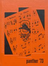 1973 Oregon High School Yearbook from Oregon, Wisconsin cover image