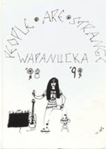 Wapanucka High School 1999 yearbook cover photo