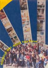 Hamshire-Fannett High School 1991 yearbook cover photo