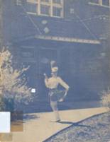 1941 Plainwell High School Yearbook from Plainwell, Michigan cover image