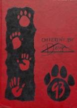 1993 Fruitland High School Yearbook from Fruitland, Idaho cover image