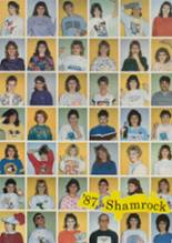 Dublin High School 1987 yearbook cover photo