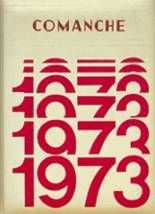 1973 Coe-Brown Northwood Academy Yearbook from Northwood, New Hampshire cover image
