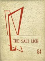 Salisbury-Elk Lick High School 1964 yearbook cover photo