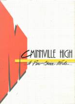 McMinnville High School 1988 yearbook cover photo