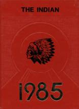 1985 Titonka Consolidated High School Yearbook from Titonka, Iowa cover image