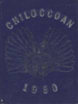 Chilocco Indian School 1980 yearbook cover photo
