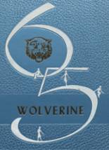 Holdenville High School 1965 yearbook cover photo