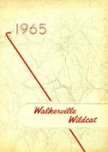 1965 Walkerville High School Yearbook from Walkerville, Michigan cover image