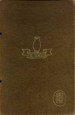 1917 Albia Community High School Yearbook from Albia, Iowa cover image