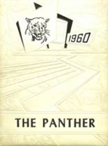Central High School 1960 yearbook cover photo