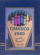 Cartersville High School 1980 yearbook cover photo
