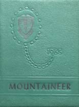 1965 Stowe High School Yearbook from Stowe, Vermont cover image