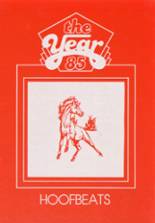 Mt. Vernon High School 1985 yearbook cover photo