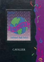 1993 Coldwater High School Yearbook from Coldwater, Ohio cover image