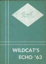 1963 Hardee High School Yearbook from Wauchula, Florida cover image