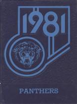 1981 Pickford High School Yearbook from Pickford, Michigan cover image