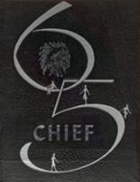 1965 Grand Saline High School Yearbook from Grand saline, Texas cover image