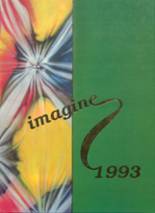 Adlai E. Stevenson High School 1993 yearbook cover photo