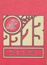 1973 Douglas High School Yearbook from Douglas, Alabama cover image